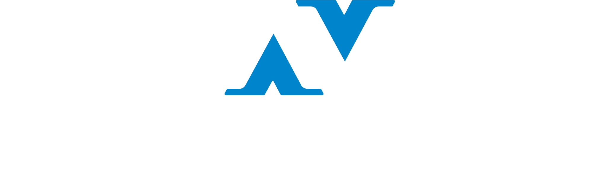 DATAVOX Solutions